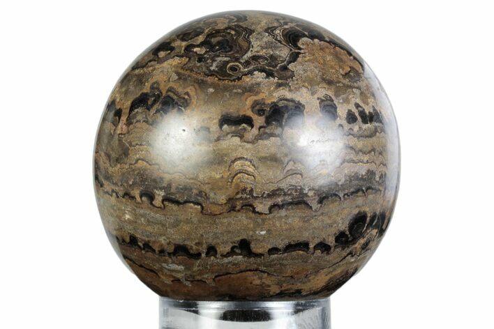 Polished Stromatolite (Greysonia) Sphere - Bolivia #363464